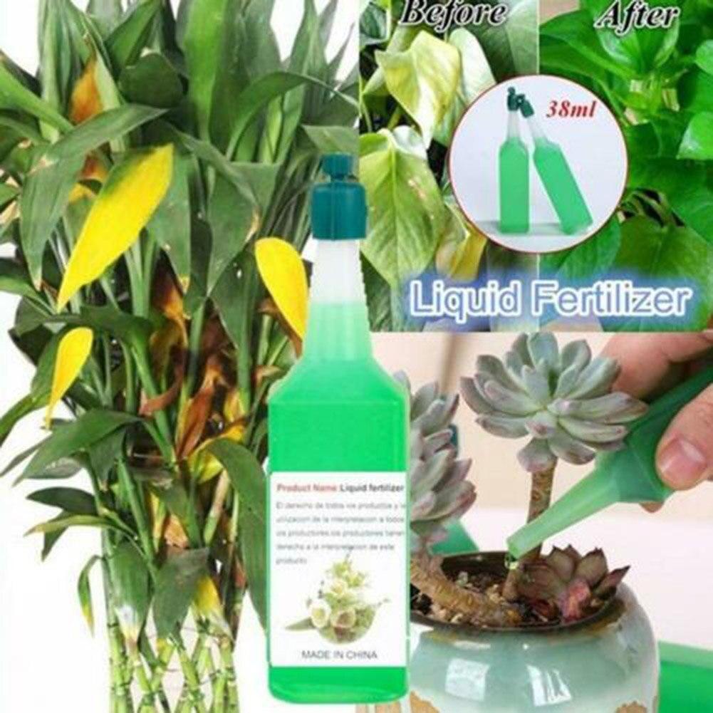 Hydroponic Liquid Fertilizer